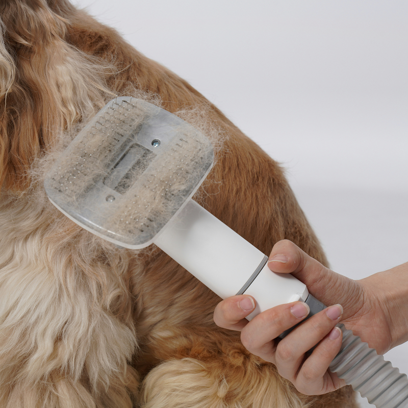 image showing dog de shedding